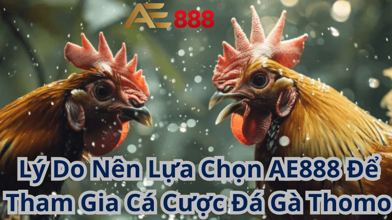 Lý Do Nên Lựa Chọn AE888 Để Tham Gia Cá Cược Đá Gà