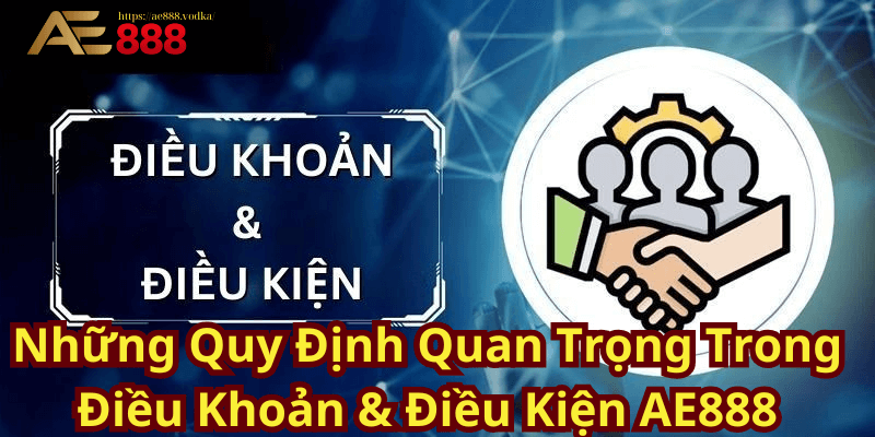 Những Quy Định Quan Trọng Trong Điều Khoản & Điều Kiện AE888