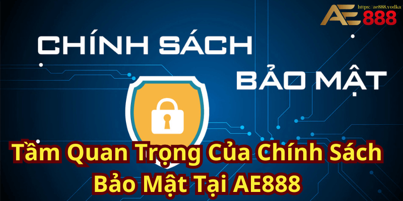 Tầm Quan Trọng Của Chính Sách Bảo Mật Tại AE888